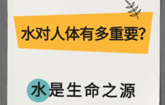 水对人体有多重要？
