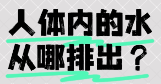 人体内的水从哪排出？